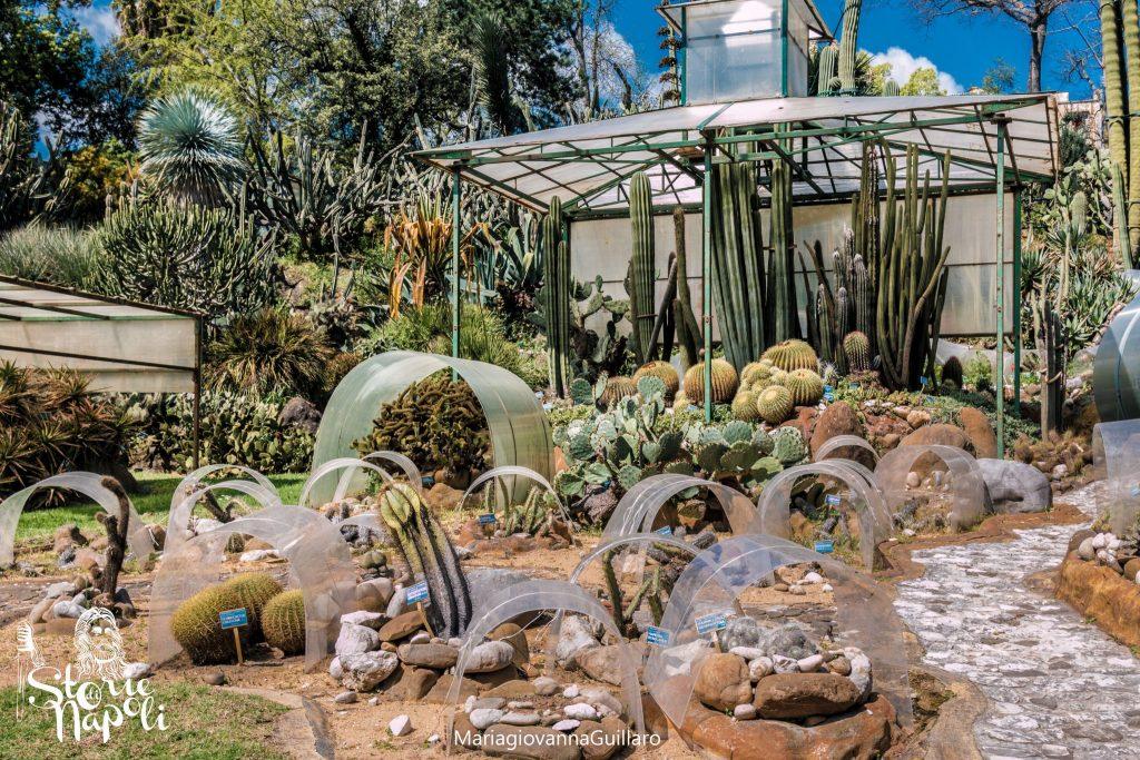 Il Real Orto Botanico storia di