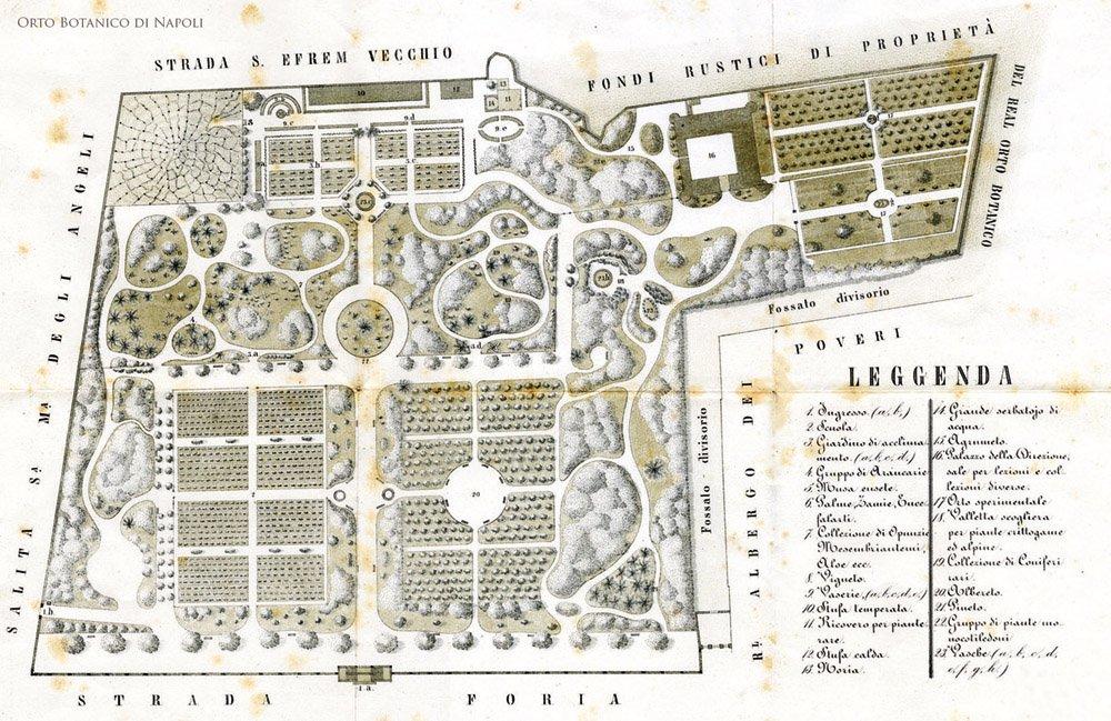 Il Real Orto Botanico: storia di un'eccellenza scientifica nel centro di Napoli